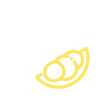Data Collection Icon